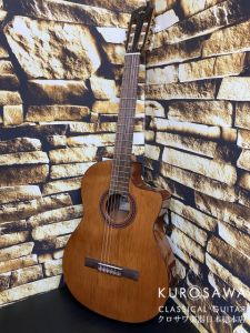 エレガット、5万円～10万円未満のクラシックギター検索結果一覧