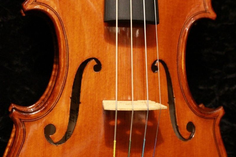 Gliga Gama II 1/4サイズ | 【クロサワ楽器店オンラインショップ】いい