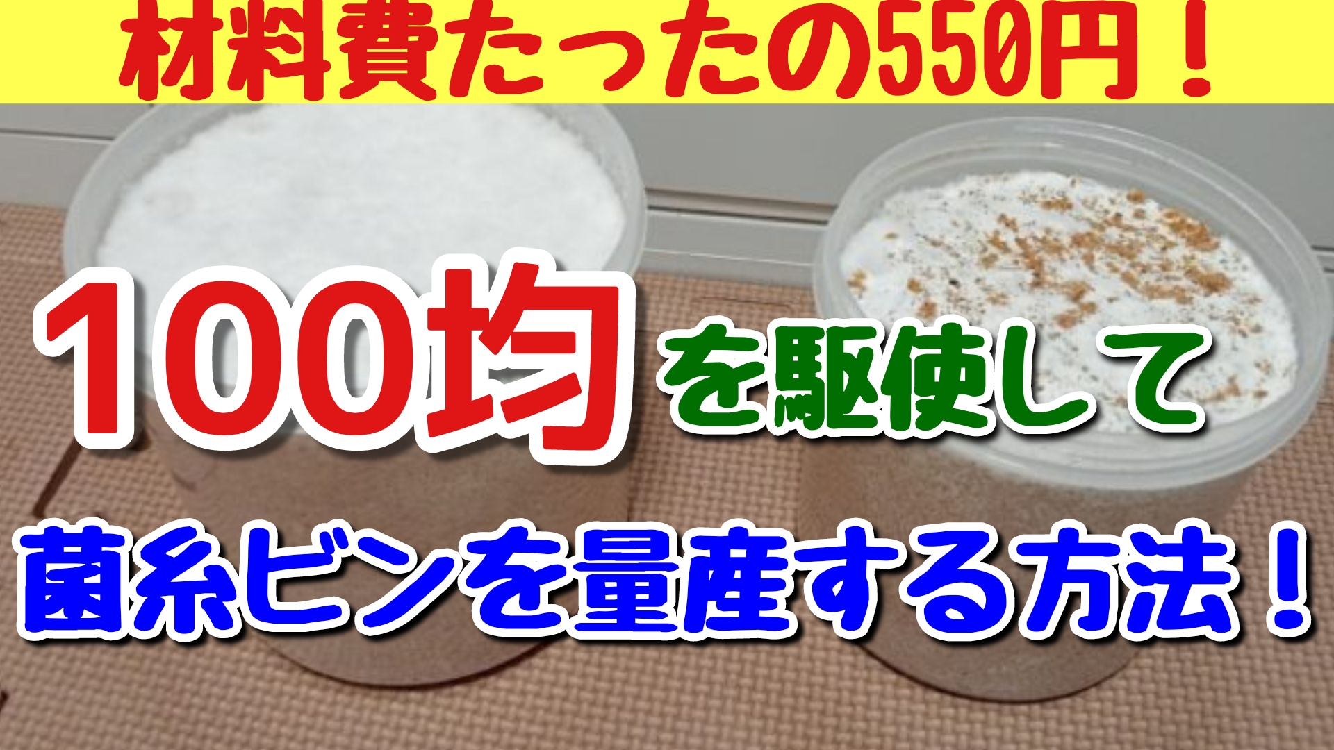 100均を駆使して菌糸ビンを自作！節約思考でお得に幼虫飼育