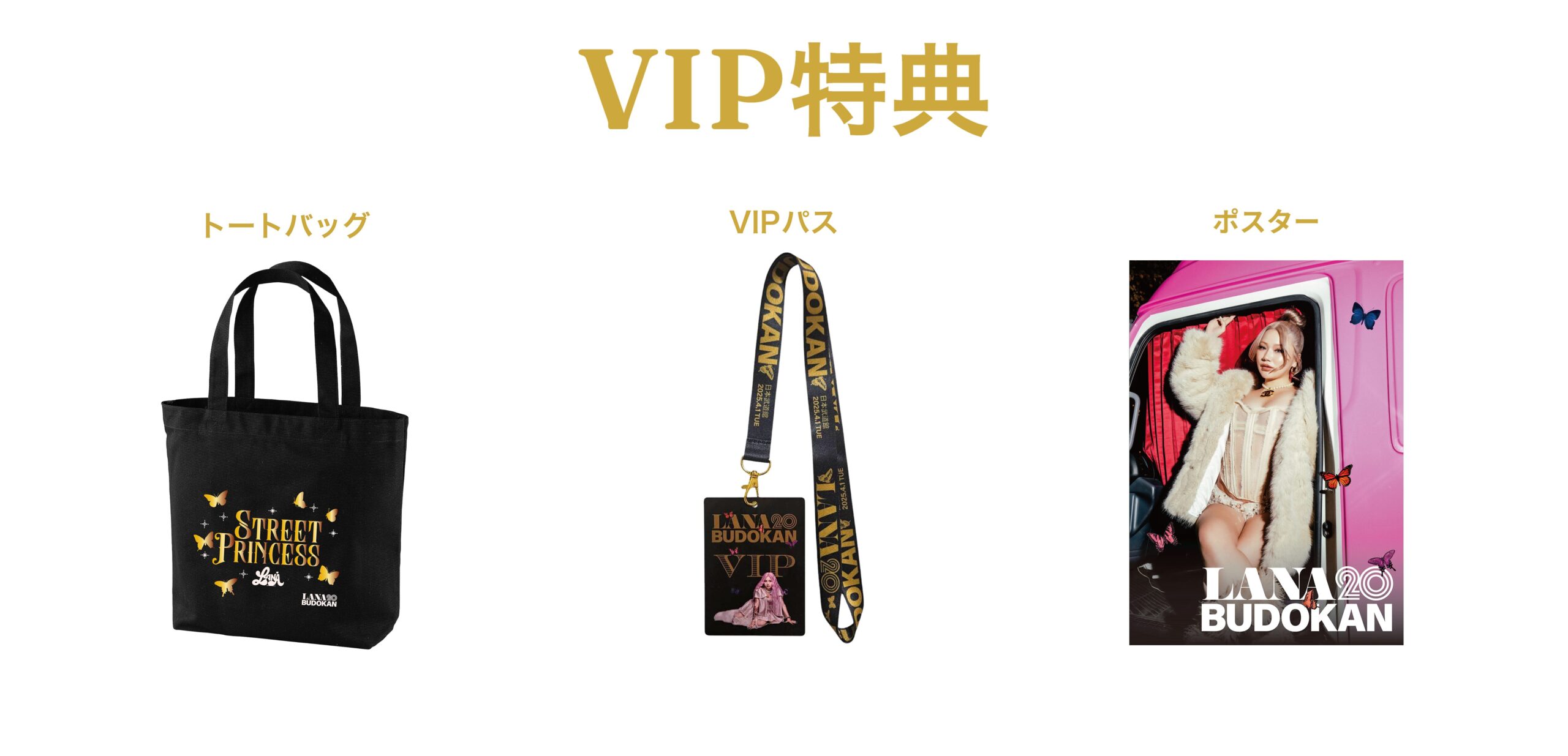 LANA “20 at BUDOKAN” 当日のご案内 | NEWS｜LANA Official Site