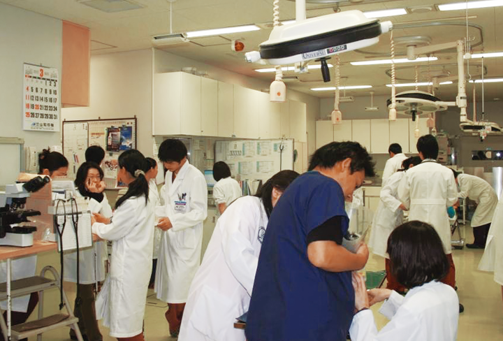 麻布大学|小動物臨床研究室