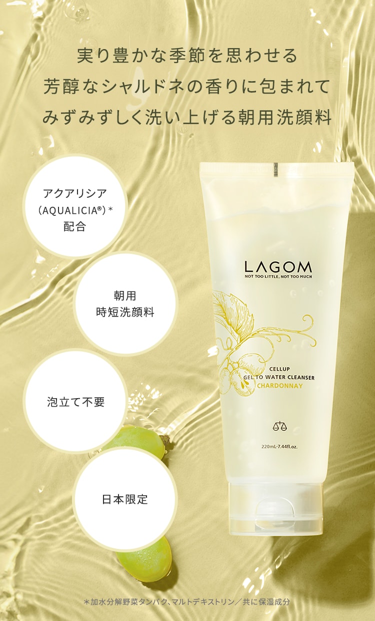 ラゴム ジェルトゥウォーター クレンザー(CH)(朝用洗顔) | LAGOM