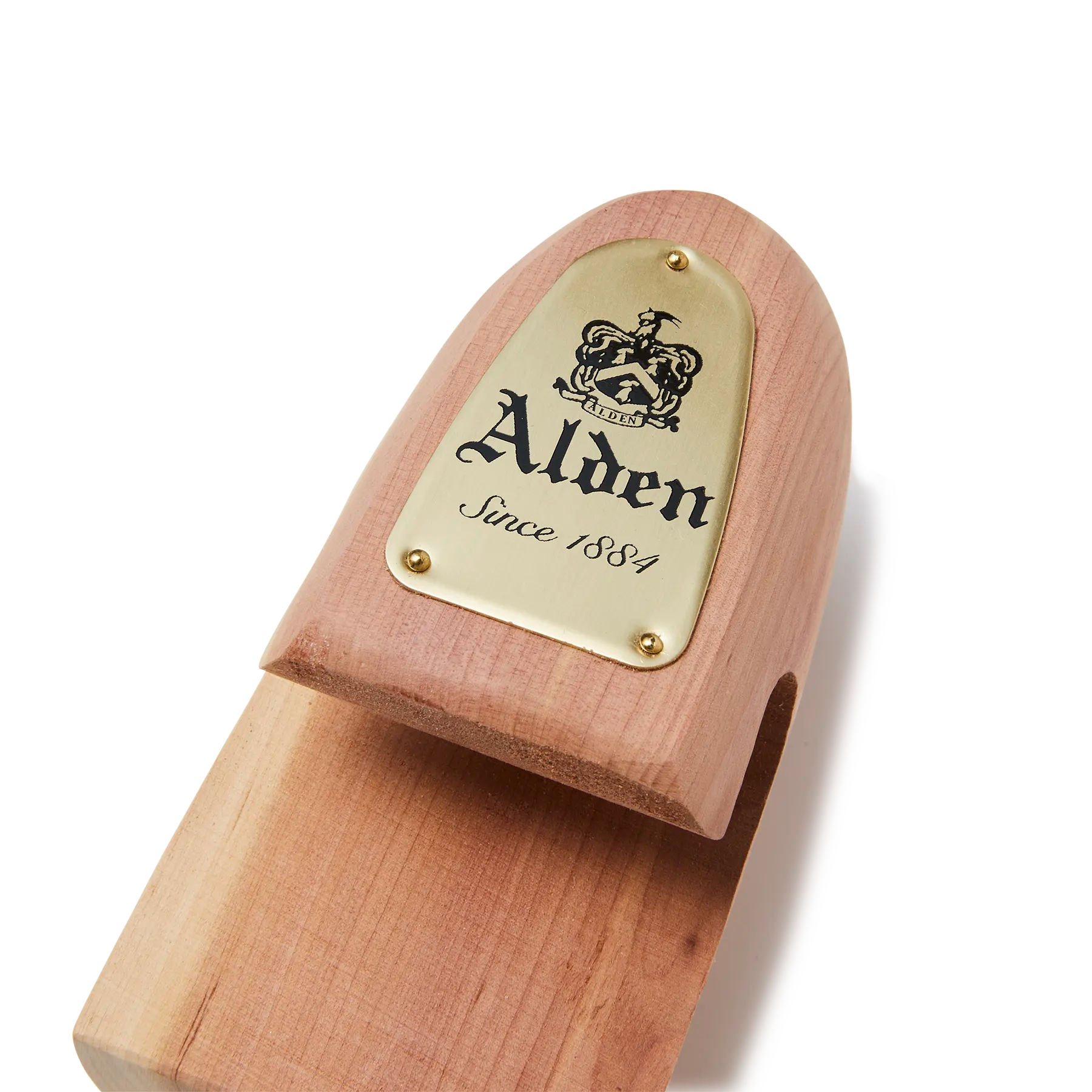 SHOE TREE – THE LAKOTA HOUSE