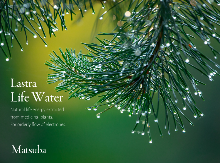 Lastraライフウォーター松葉 無添加 無農薬 低温真空抽出