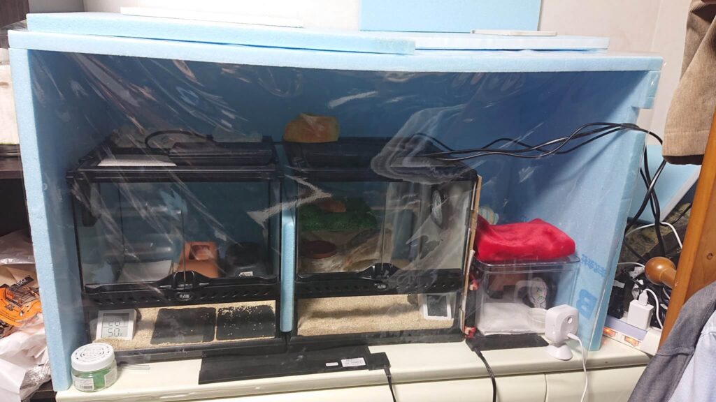 レオパ飼育】GEX エキゾテラ『グラステラリウム3030』レビュー