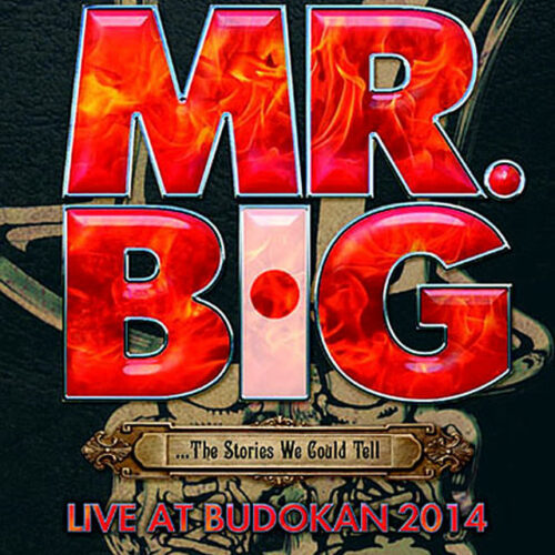 ミスター・ビッグ / 2014年11月10日 日本武道館公演 プロショット