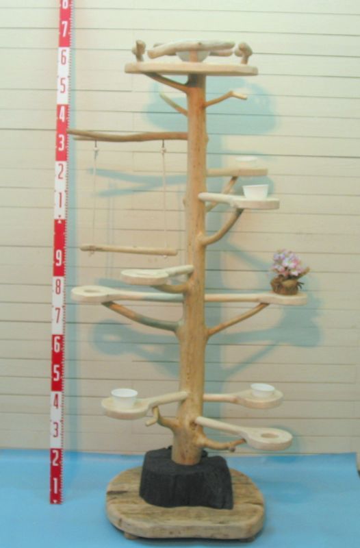 大型流木バードジム（止まり木タワースタンド） - 流木アートの