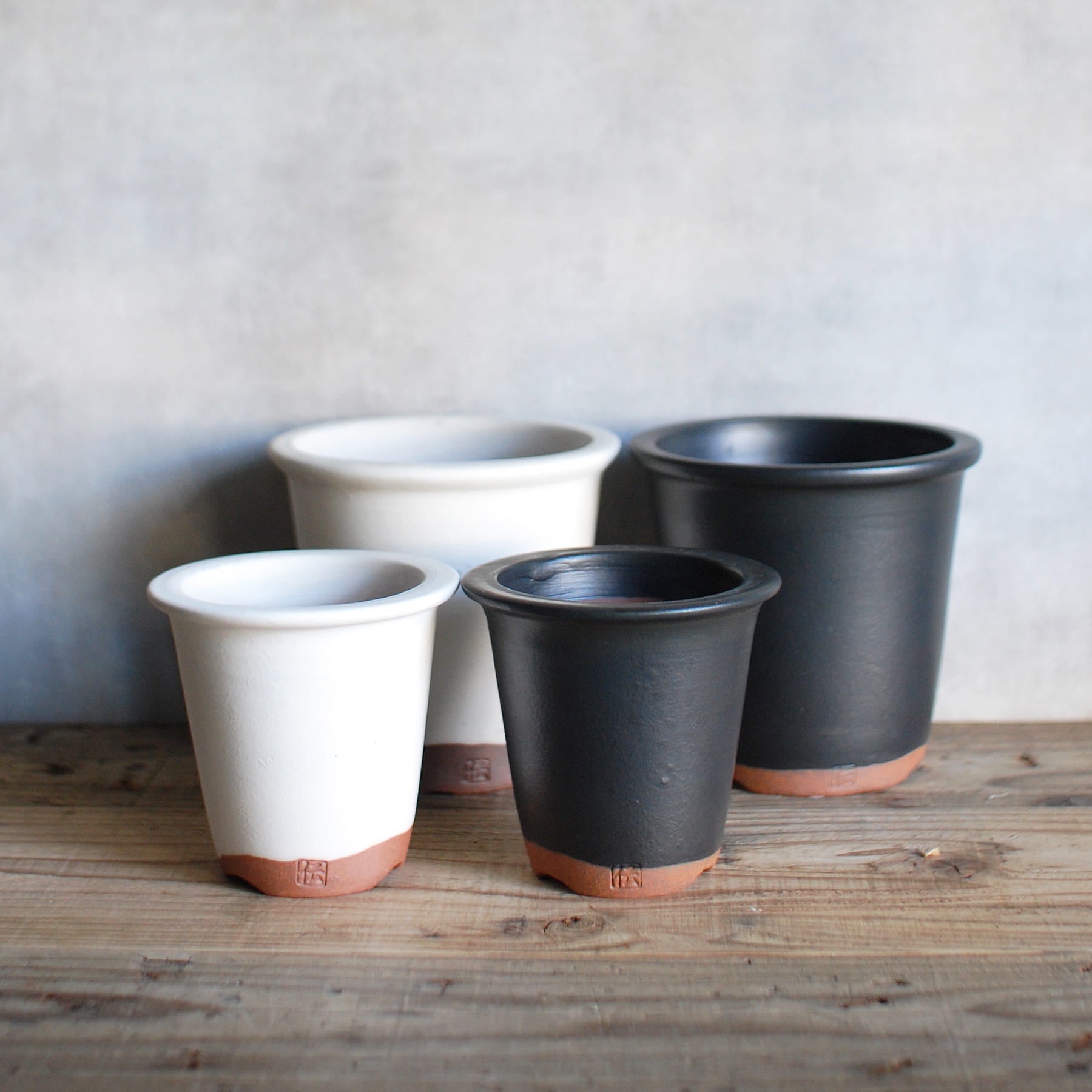 伝市鉢 型ラン 白化粧 3号 – linkplants -リンクプランツ-