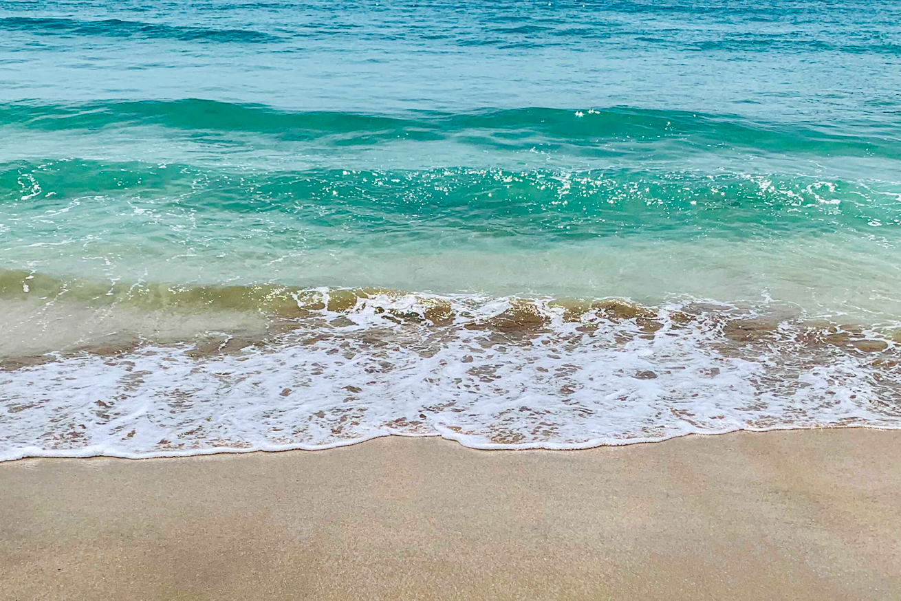 NFTマーケットプレイスOpenSeaでの出品方法を解説 | 株式会社LIG(リグ