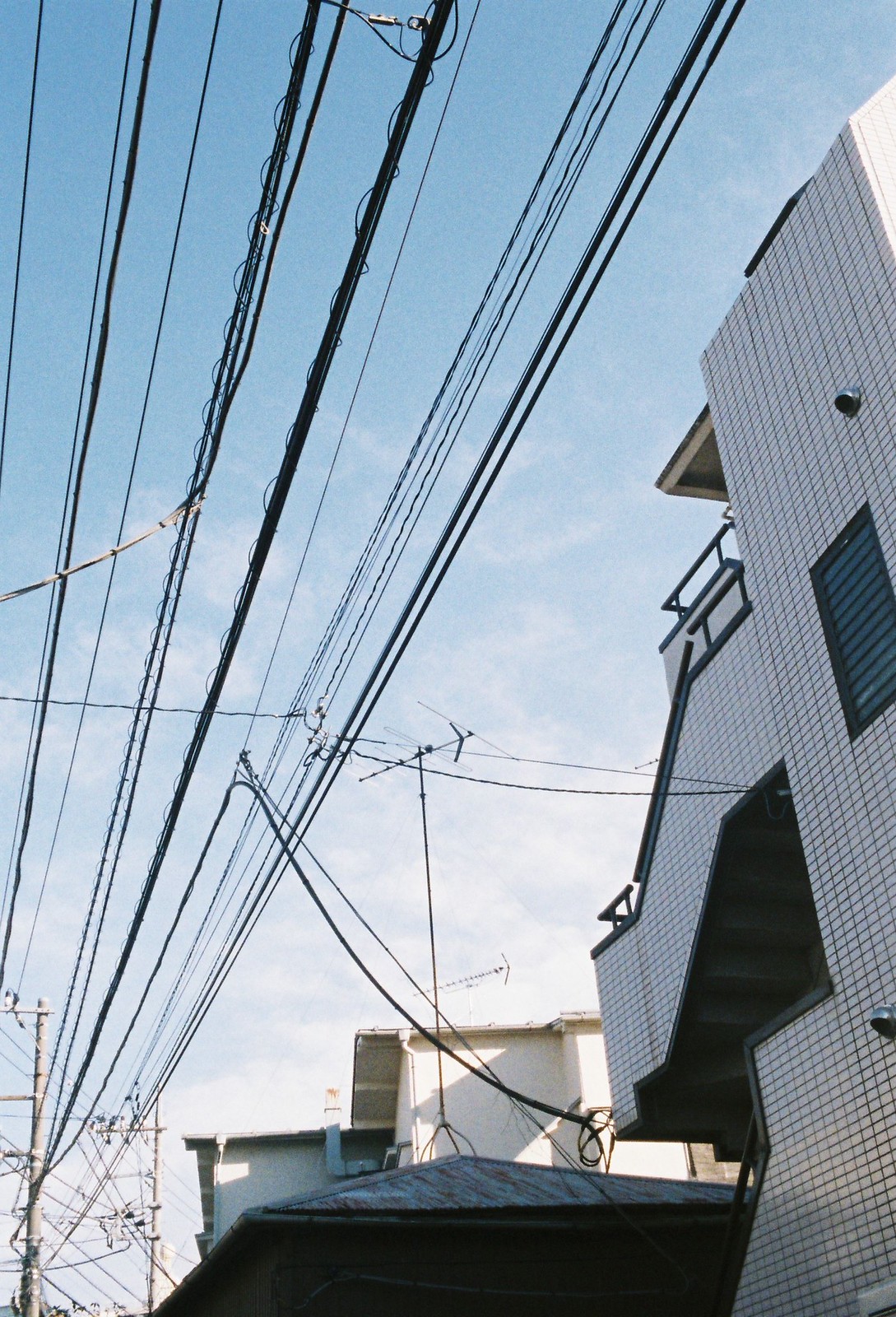 ハーフx広角レンズ | G.Zuiko Auto-W 25mm f2.8 – LIFE