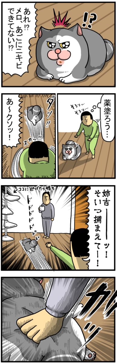 露骨に絶望する猫 : まめきちまめこニートの日常 Powered by