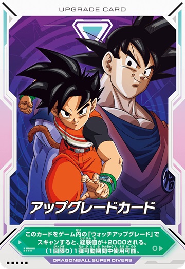 Vジャンプ 2025年1月号 付録・応募者全員サービス『ビクトリーダイブ