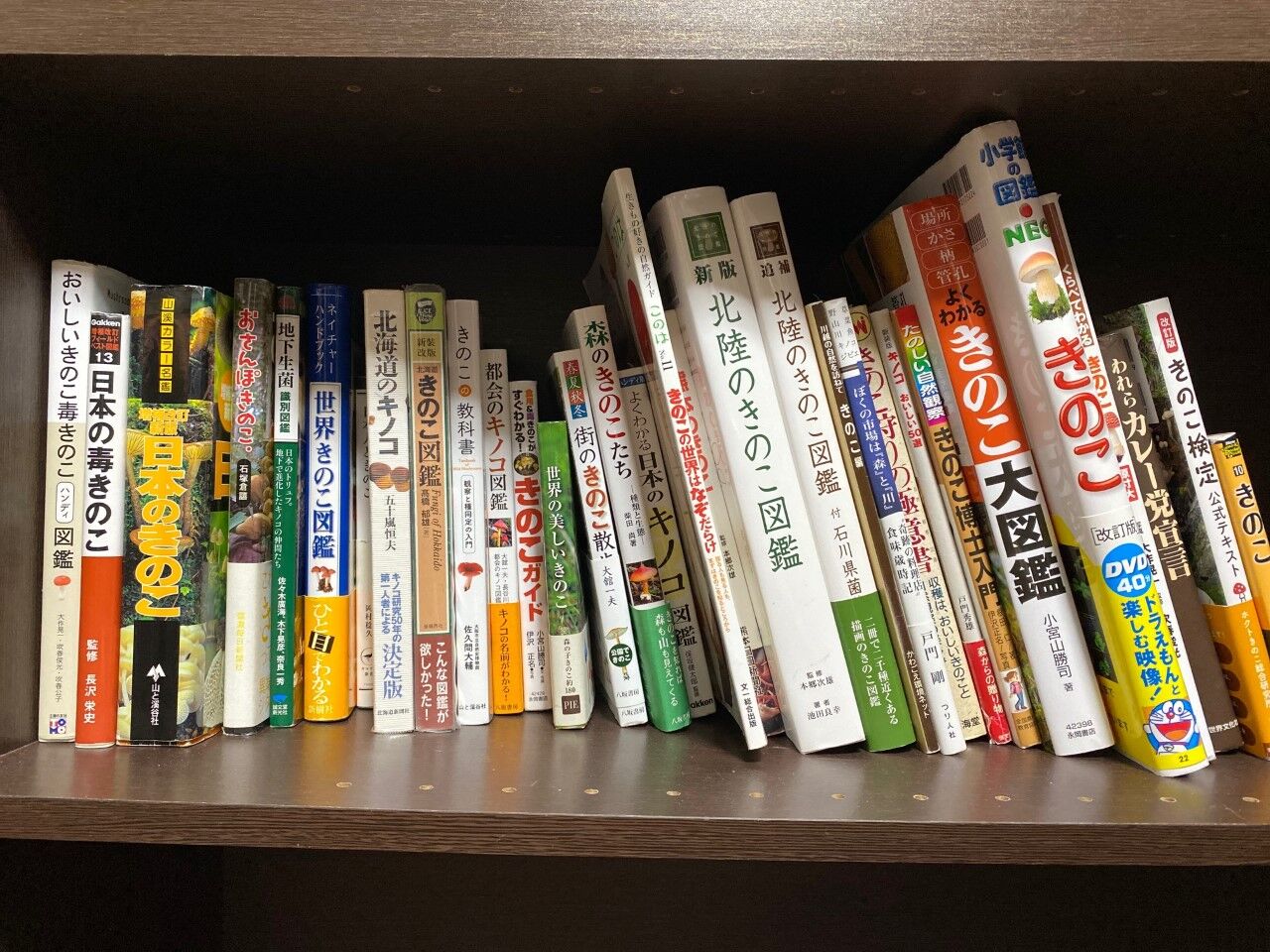 キノコ本紹介① : ( ͡⊙ ͜ʖ ͡⊙) ココアシガレット・アンダー