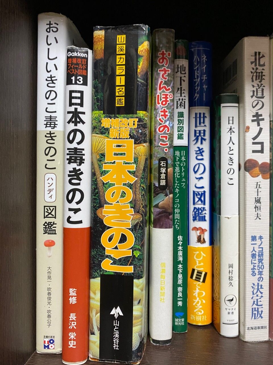 キノコ本紹介① : ( ͡⊙ ͜ʖ ͡⊙) ココアシガレット・アンダー