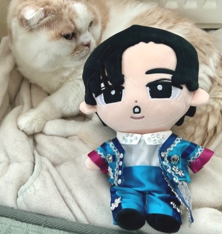 すのチルにターコイズの衣装を作ってみました : 猫だらけ Powered by