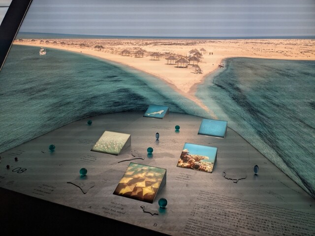 夏の大阪・関西万博へ行ってきた！【3回目】（8/1）⑩カタール館