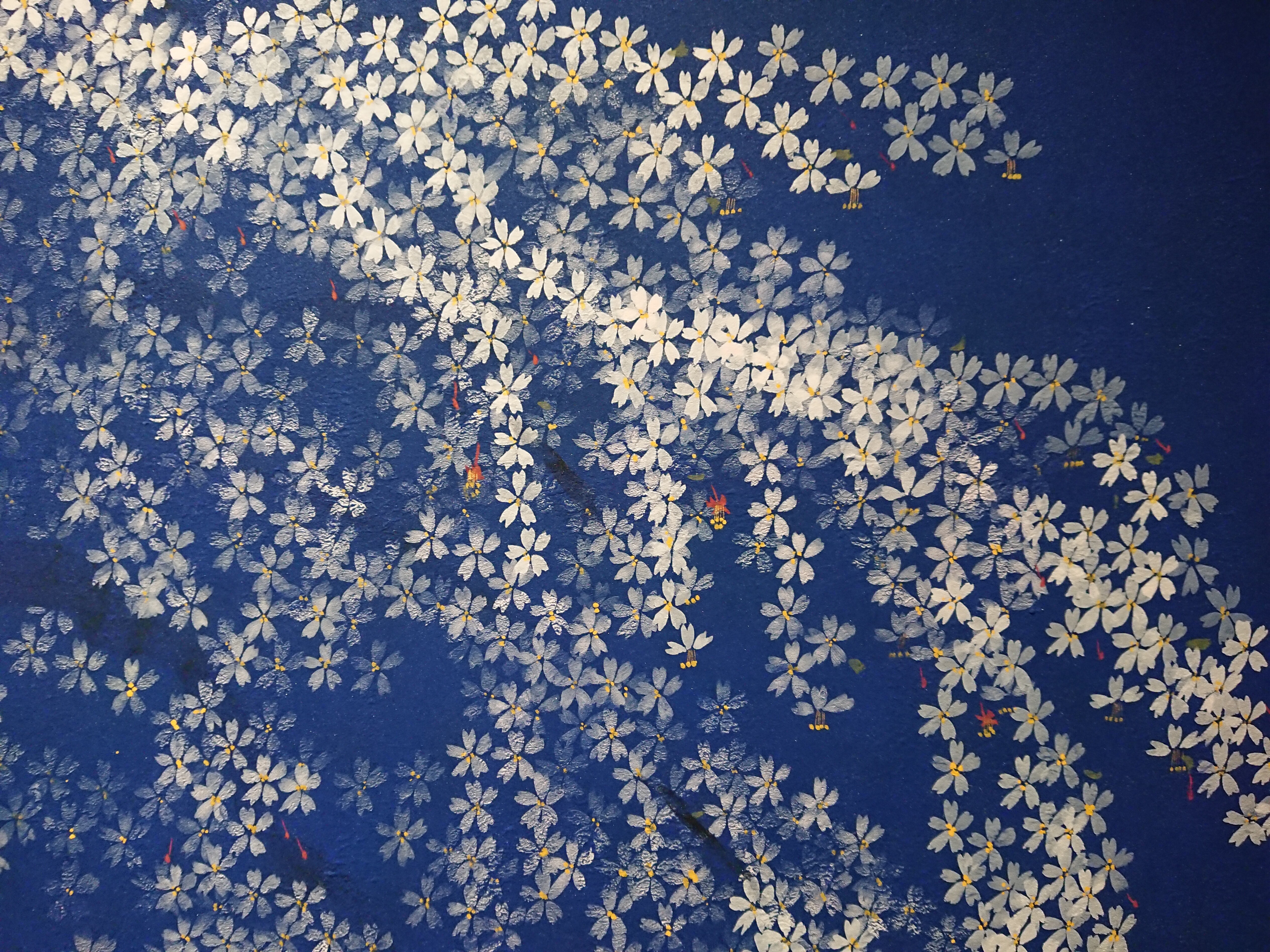 中島千波： 春夜三春の瀧櫻｜桜百景展 vol.29｜郷さくら美術館