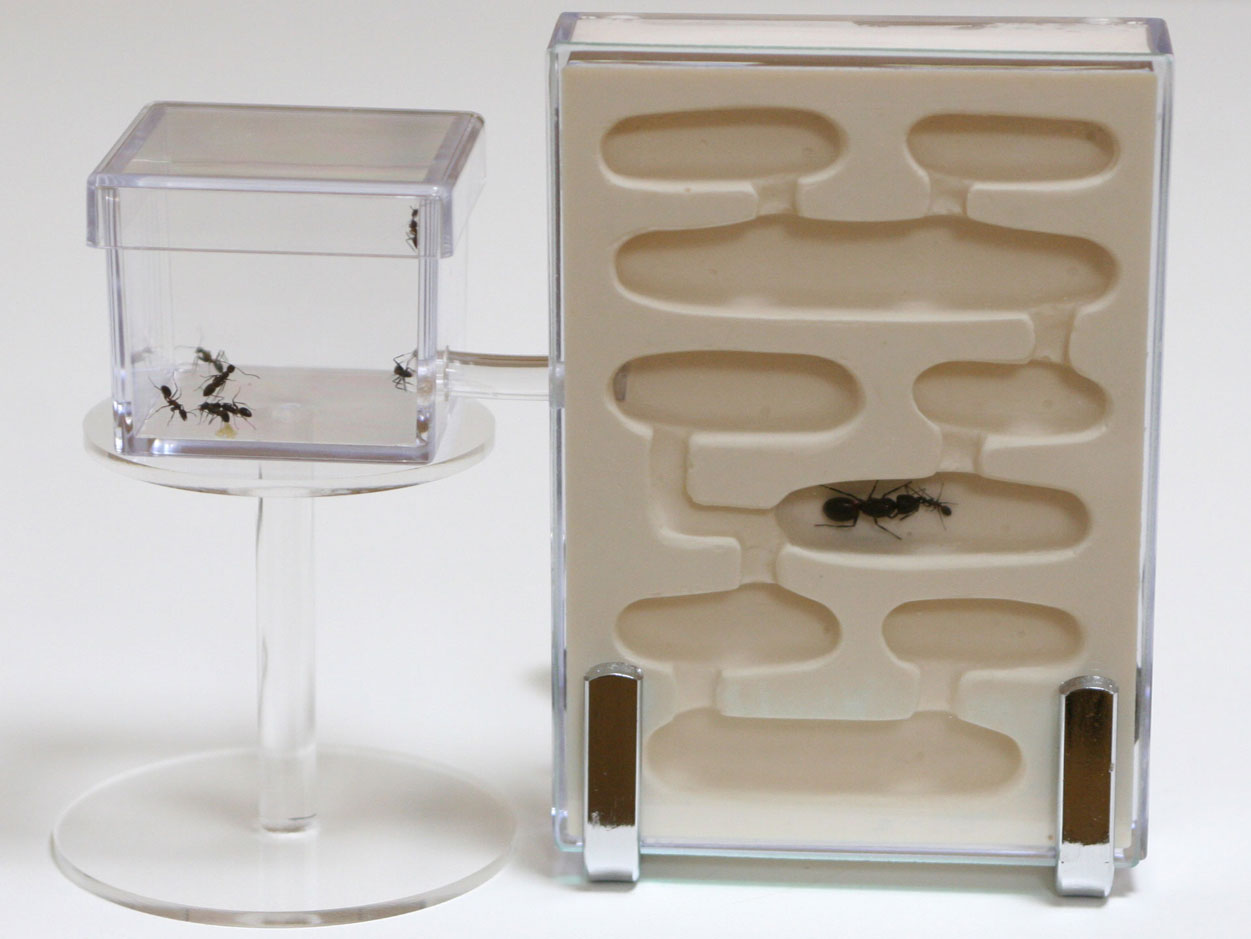 蟻マシーン2号ミニを、改良して販売開始！！ : ありんこ日記 AntRoom