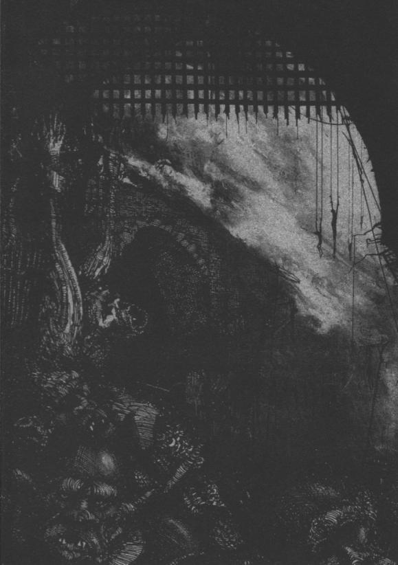 PAYSAGE D'HIVER : Black Metal Wanderer