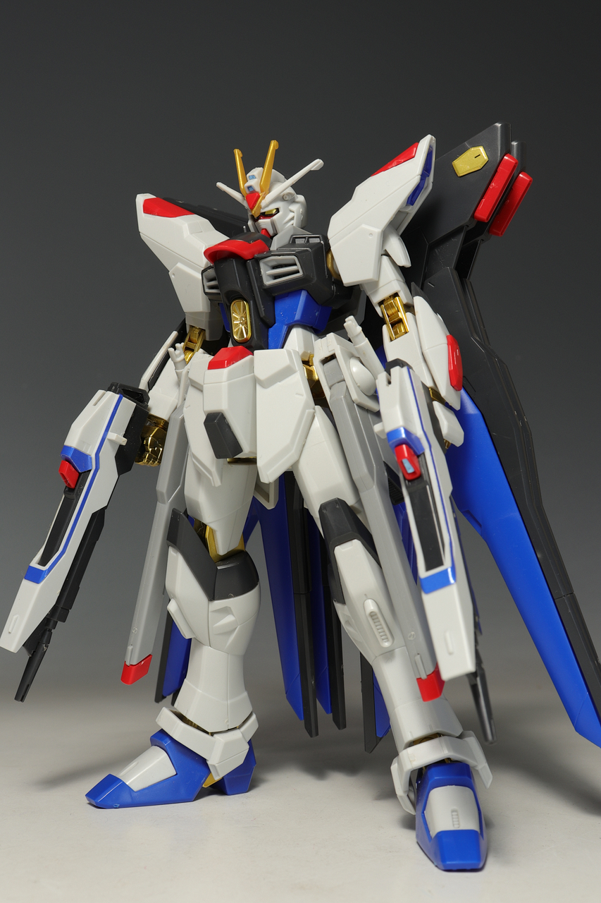 HGCE ストライクフリーダムガンダム 光の翼DXエディション : デンデロ