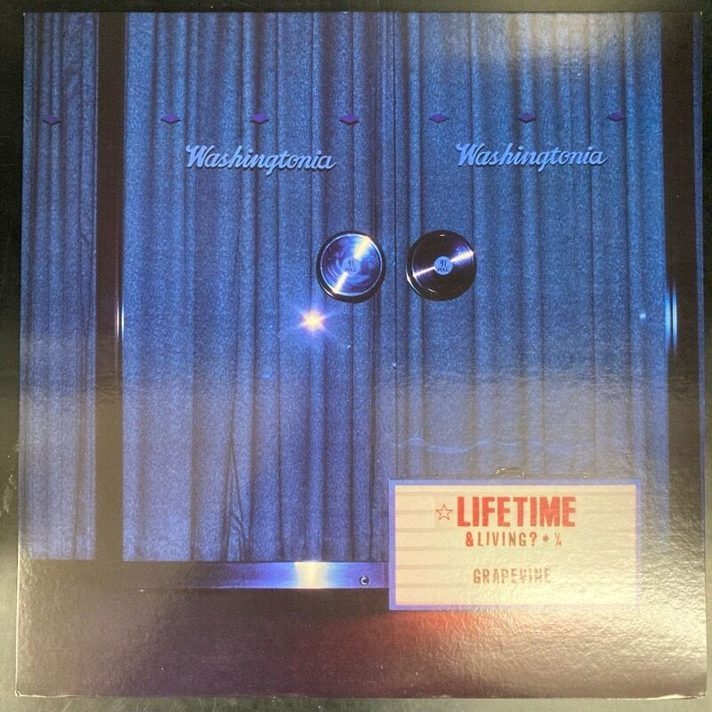 GRAPEVINE グレイプバイン / Lifetime & Here (LP) 中古で入荷しました