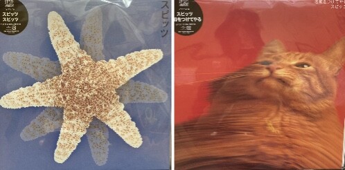 7/21(金)【中古レコード入荷速報】スピッツのアナログ再発盤まとめて