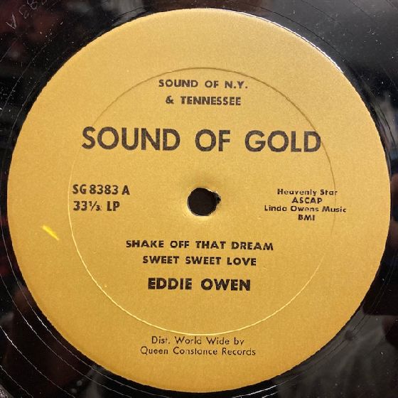 Sabrina Johnston シングル 45rpm レコード 新品 オンライン購入ボタン