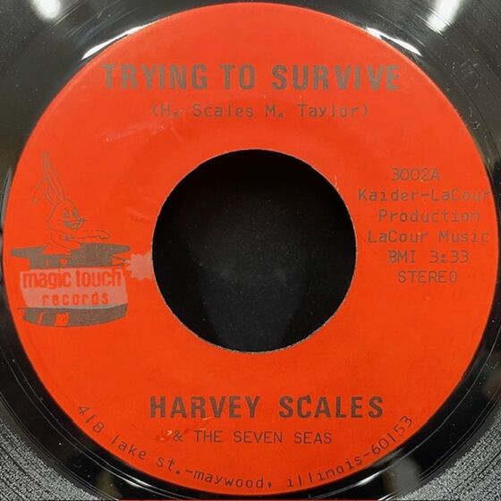 12/13(土) SOUL・FUNK 廃盤45Sセール レコメンドアイテム : ディスク