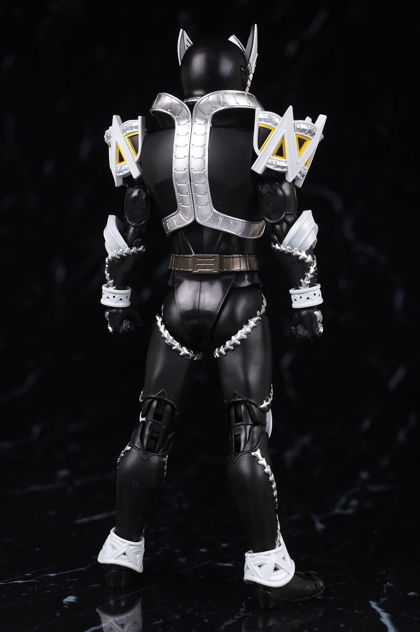 S.H.フィギュアーツ （真骨彫製法） 仮面ライダーサガ レビュー : はっ