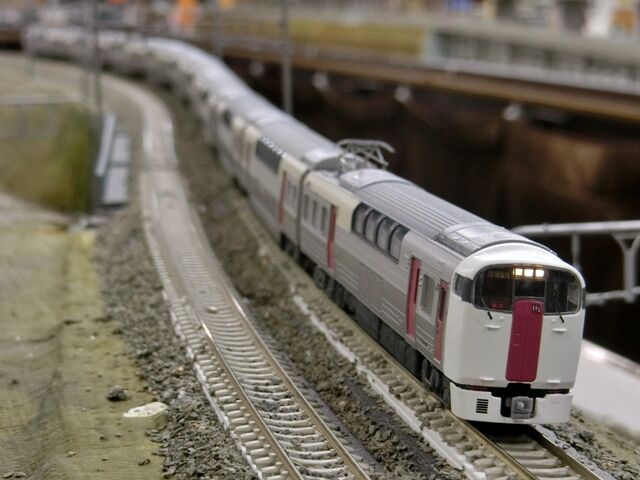 マイクロエース改 215系2次車｢ホリデー快速ビューやまなし｣ : 横浜西部