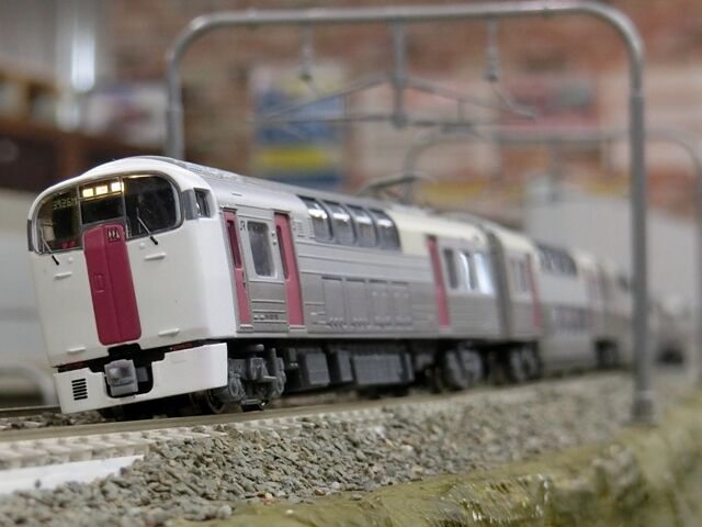 マイクロエース改 215系2次車｢ホリデー快速ビューやまなし｣ : 横浜西部