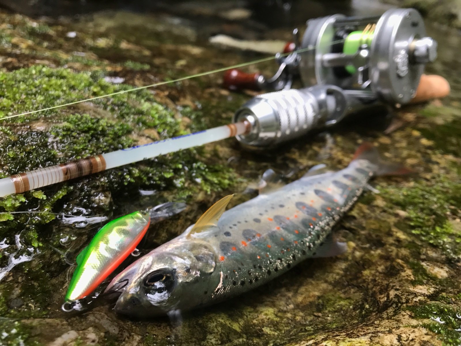 渓流ベイト…！ : Ramblin_naofish