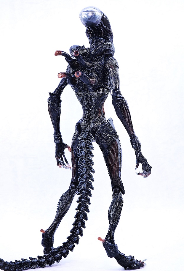 NECA スコーチド ゼノモーフ レビュー : おもちゃの巣（玩具レビュー）