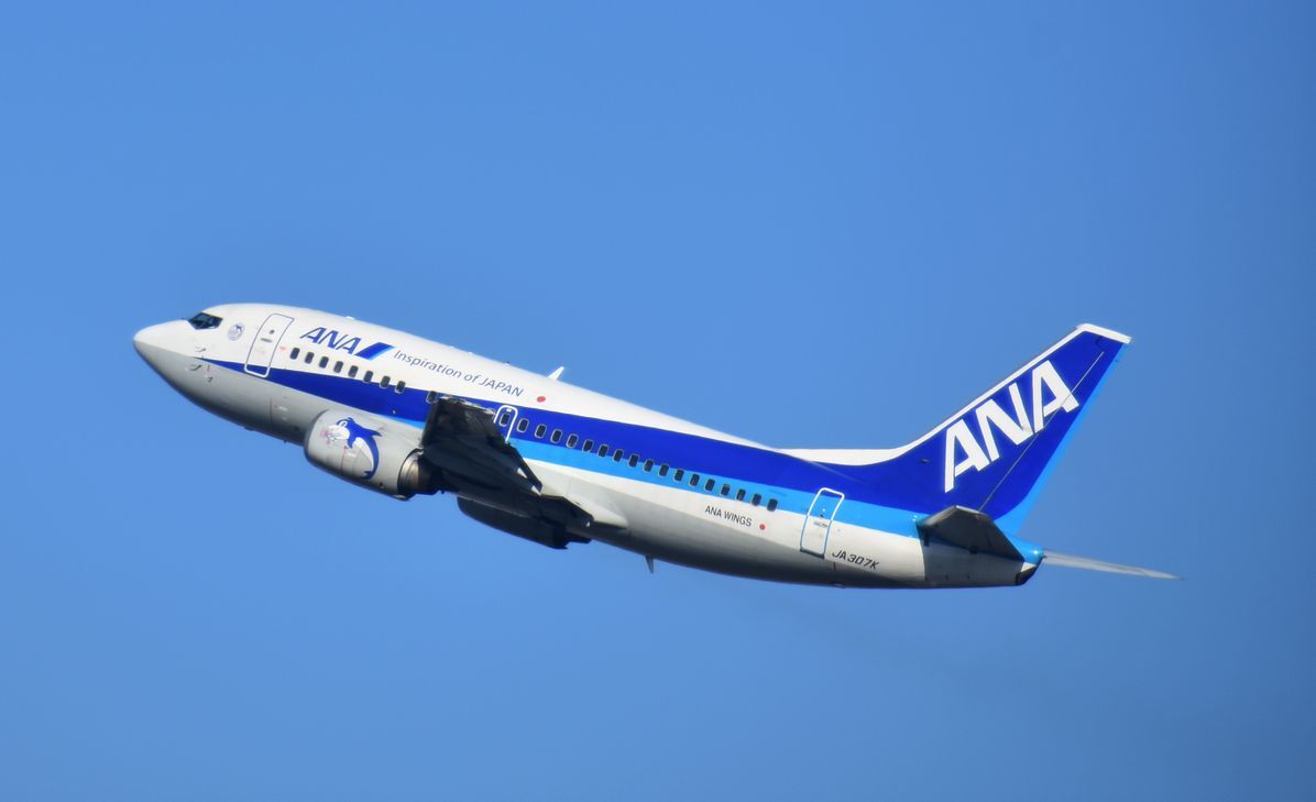 ANA B737-500「スーパードルフィン」退役装飾 : ad-car's ラッピングデス