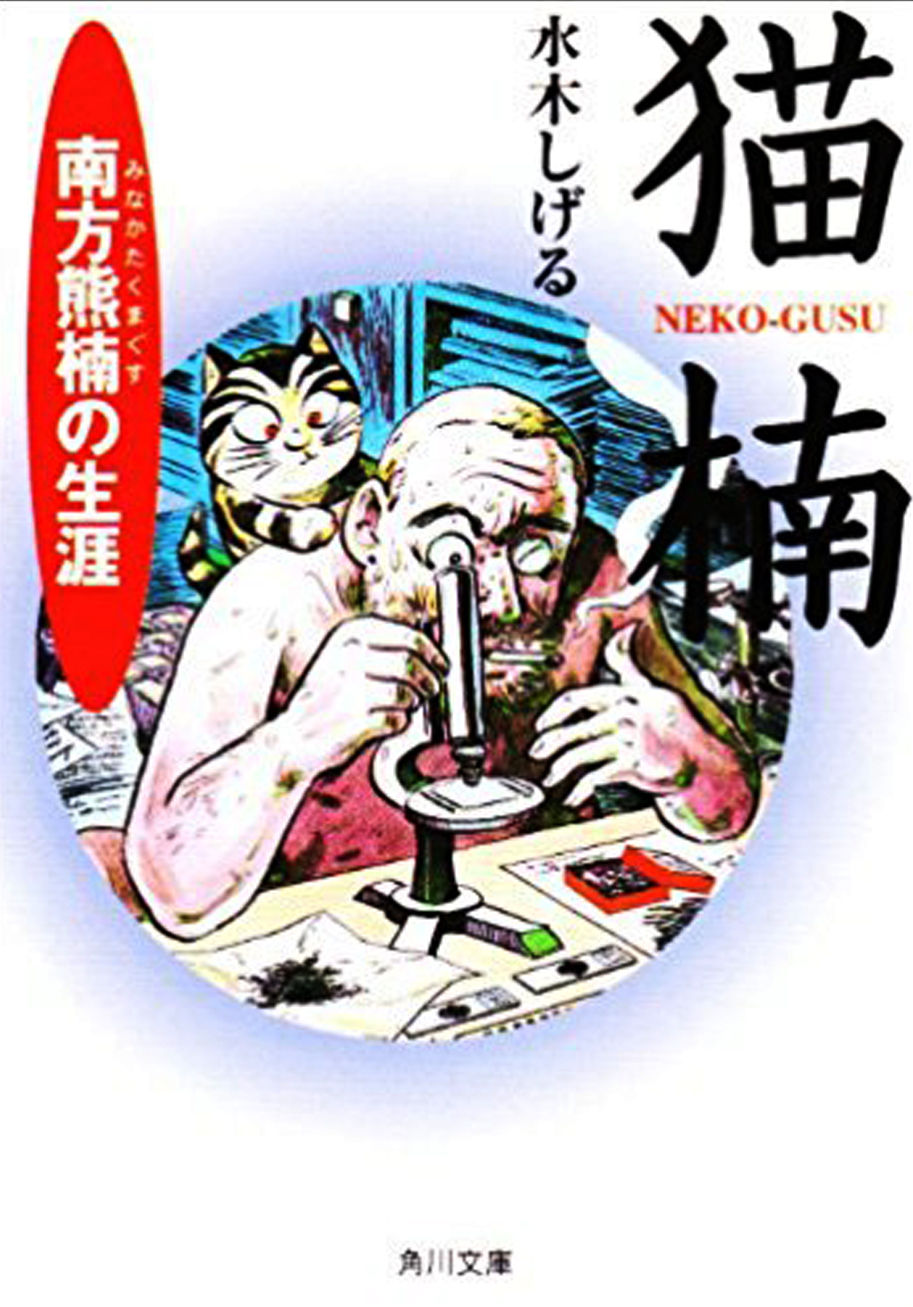 猫楠モノ】一部店舗にて取扱いを開始！ : 水木しげるロード 妖怪神社
