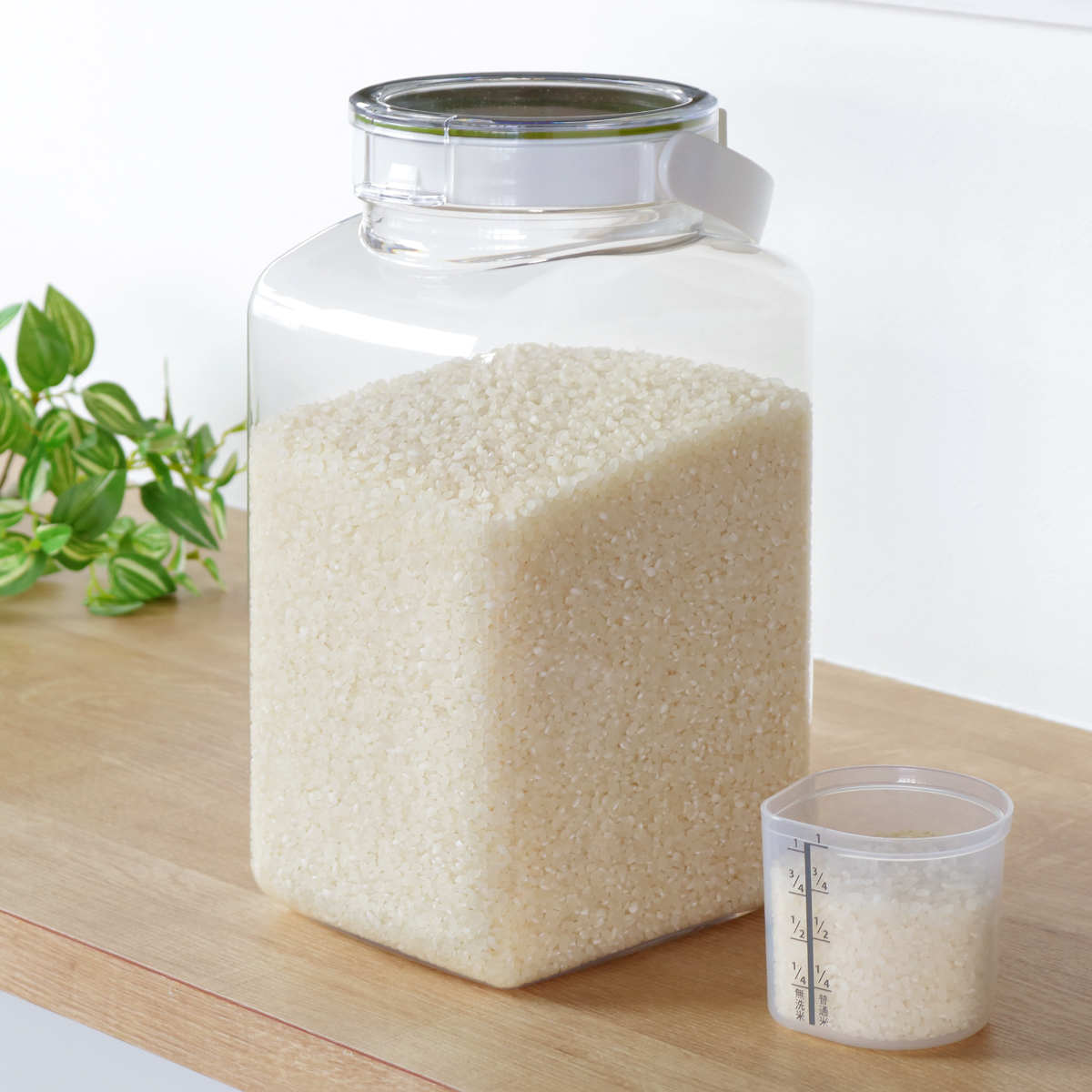 米びつ 3.2kg フレッシュロック ハンドル付き 密閉米びつ （ FRESHLOK