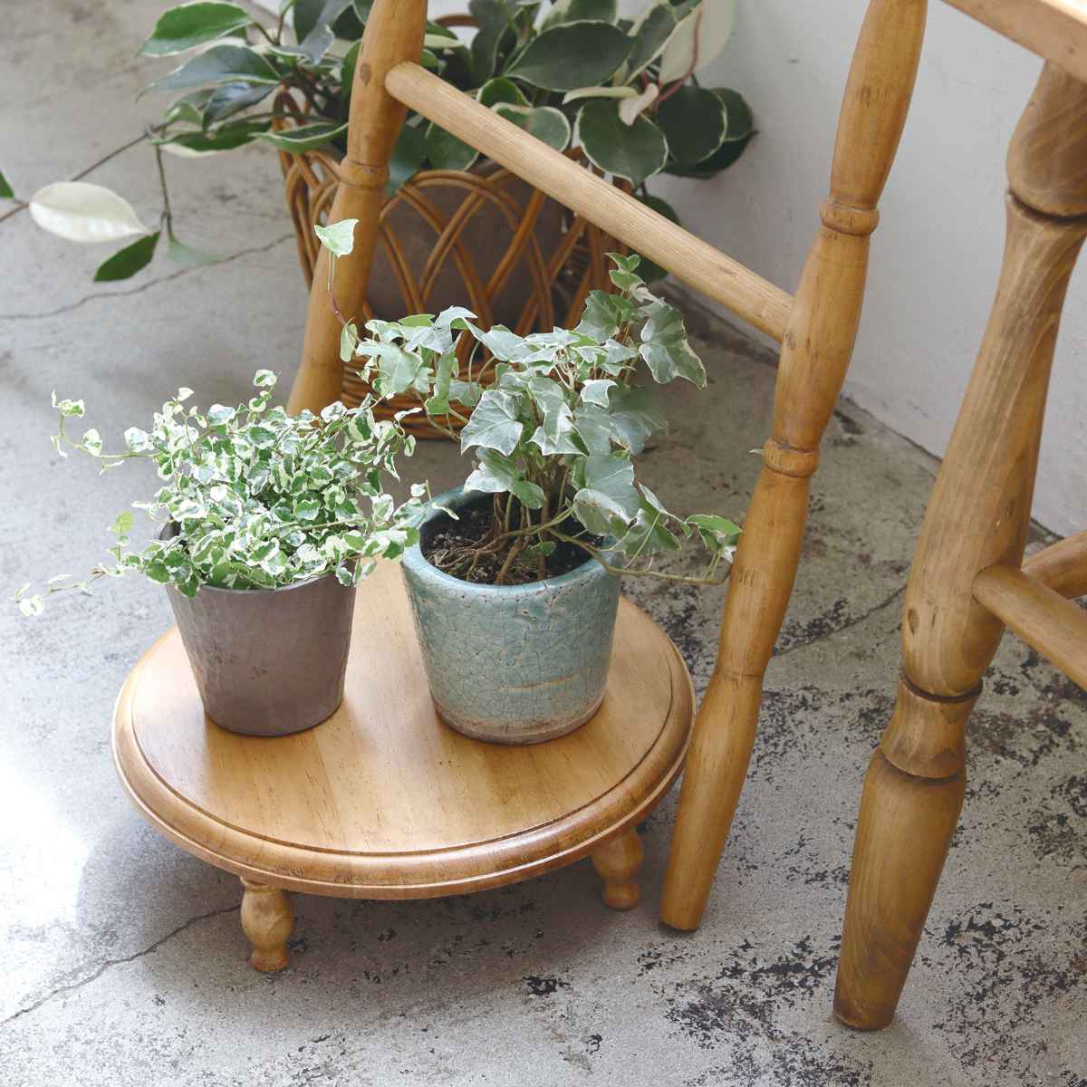 ディスプレイスタンド ナインマーケ パイン ラウンドスタンド L