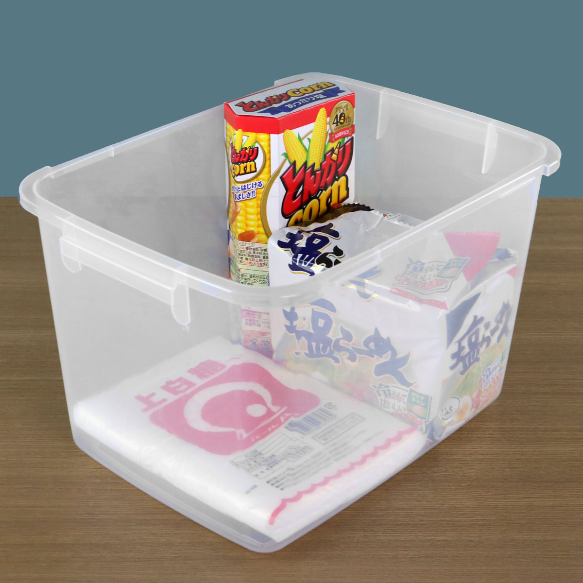 保存容器 16L SLジャンボケース 抗菌 （ 密閉 4面ロック