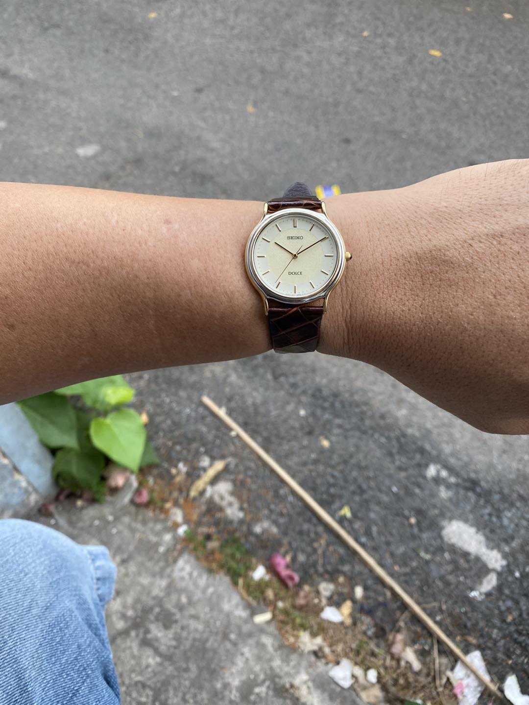 Seiko Dolce Quartz 5E31-6D60 – Long's Fine Watches