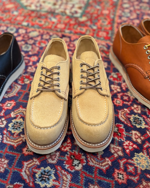 澤村ブログ Vol.5 [Red Wing]