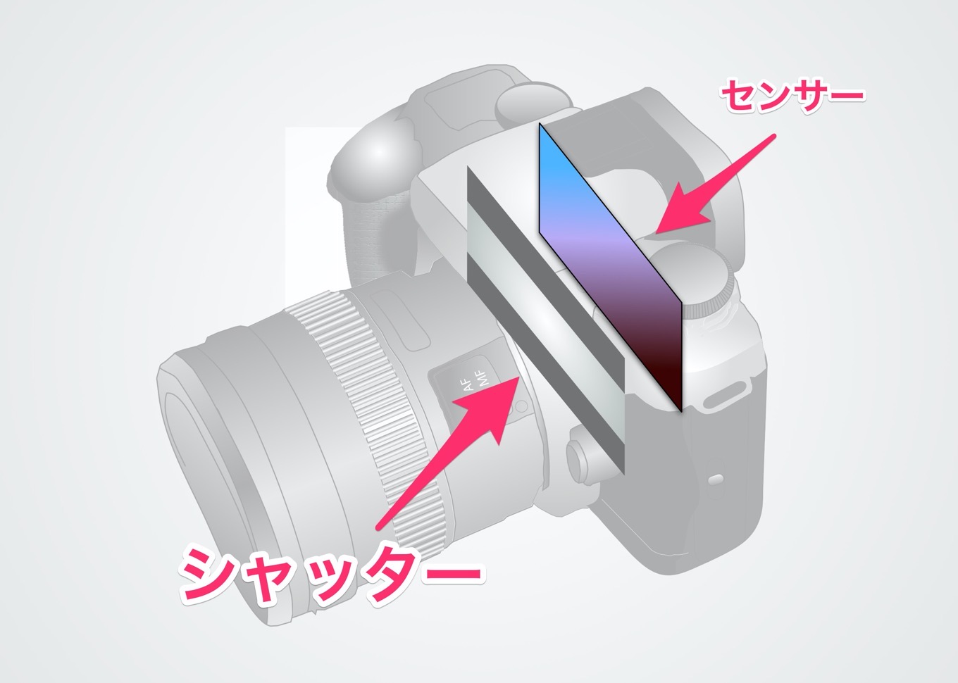 フォーカルプレーンシャッターとは？一眼カメラのシャッターの仕組み