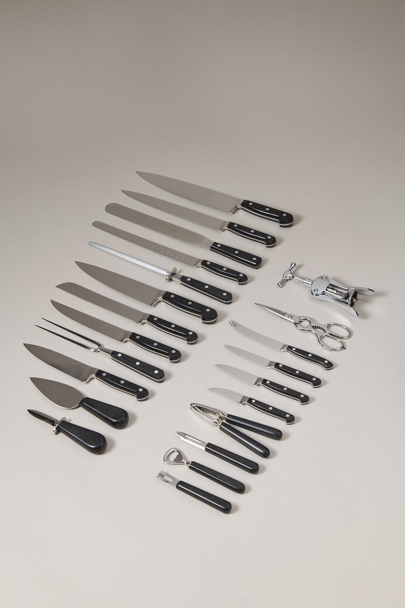 Polyoxymethylene Professional knife set – Lorenzi Milano