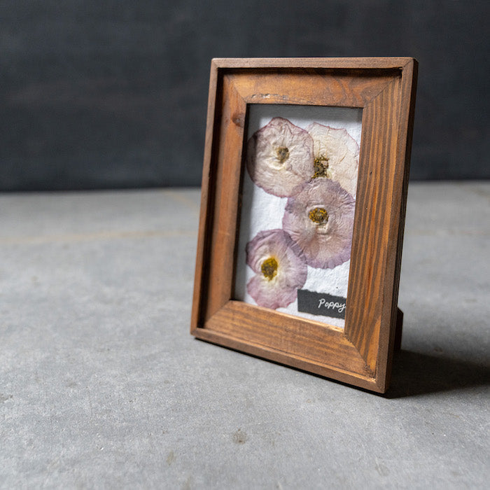 押し花アート 押し花アートフレーム MINI ポピー