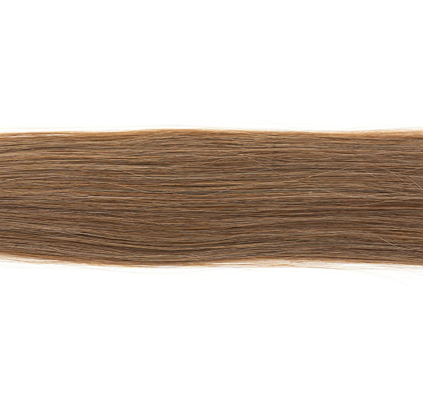 シールエクステ】プレミアムクラス(ハイクラス毛→業界最安値!) #100