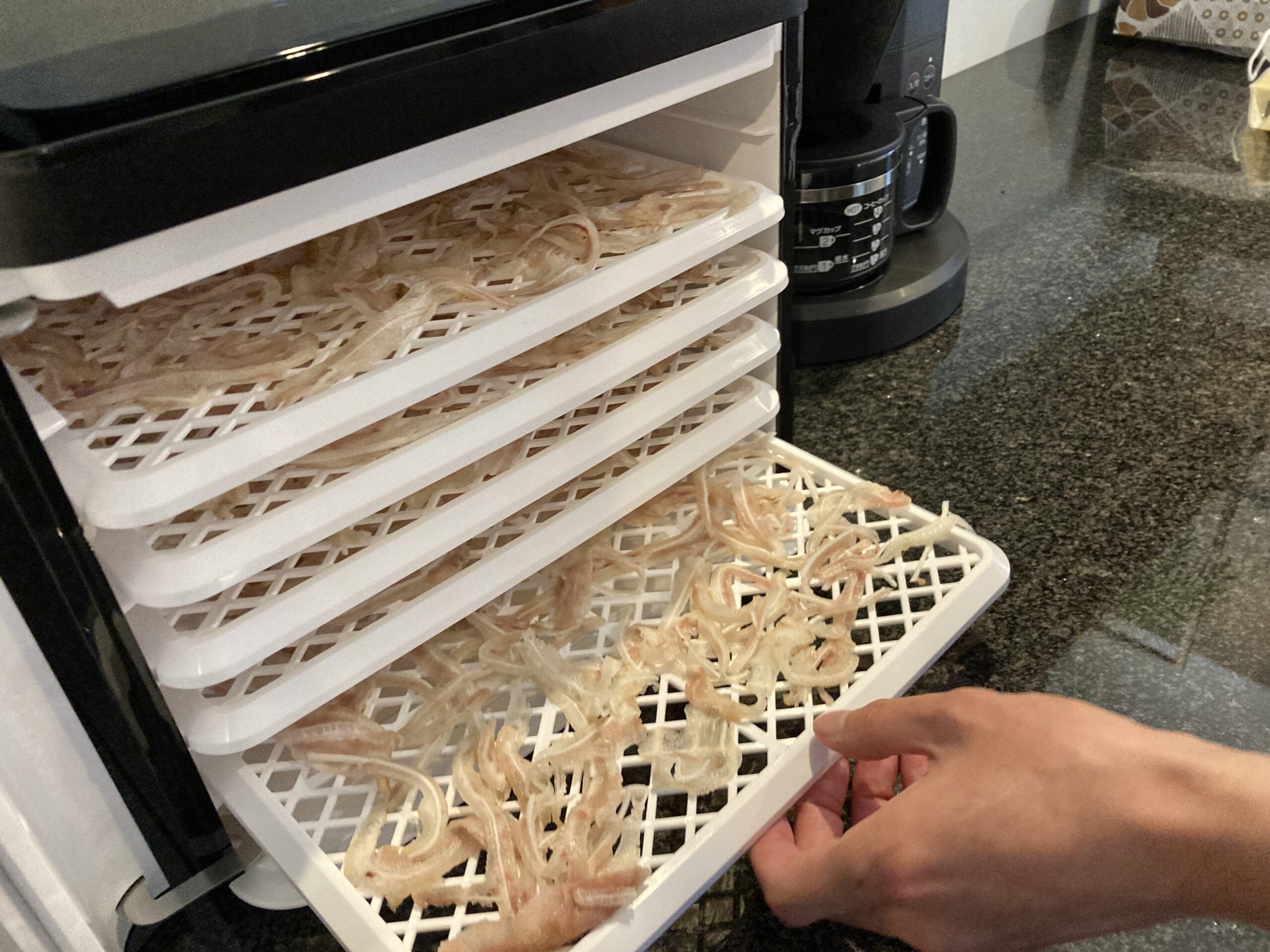 愛犬のおやつ作りにオススメ！】Kocokaraフードドライヤーレビュー