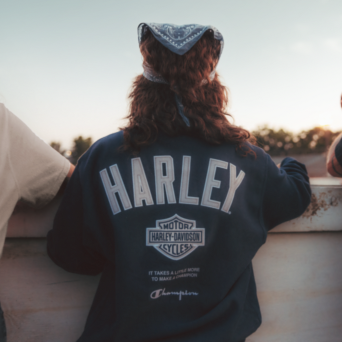 ハーレーパーツ＆用品・ラッキースカル / 【ハーレー純正】 メンズ