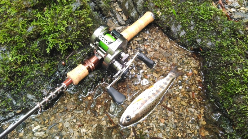 インプレ】フェンウィック FS53CL-3J “Undercut Bank”【大人気ロッドの