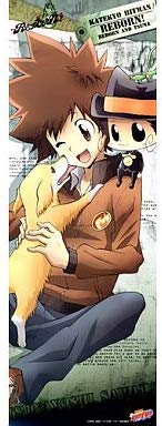 Amazon.co.jp: 家庭教師ヒットマンREBORN! スティックポスター Ver