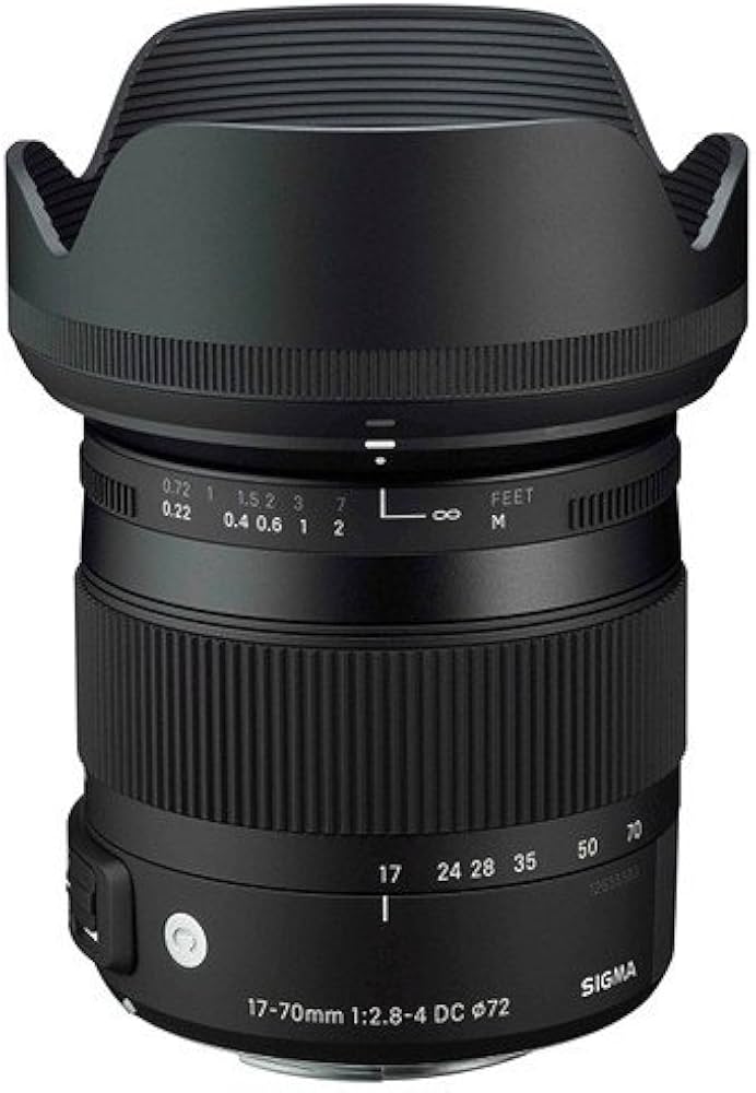 415XNhDd0kL._AC_UF894,