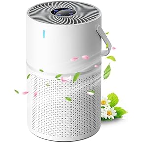 Amazon.co.jp: 空気清浄機 - 空調・季節家電: ホーム＆キッチン: 静電